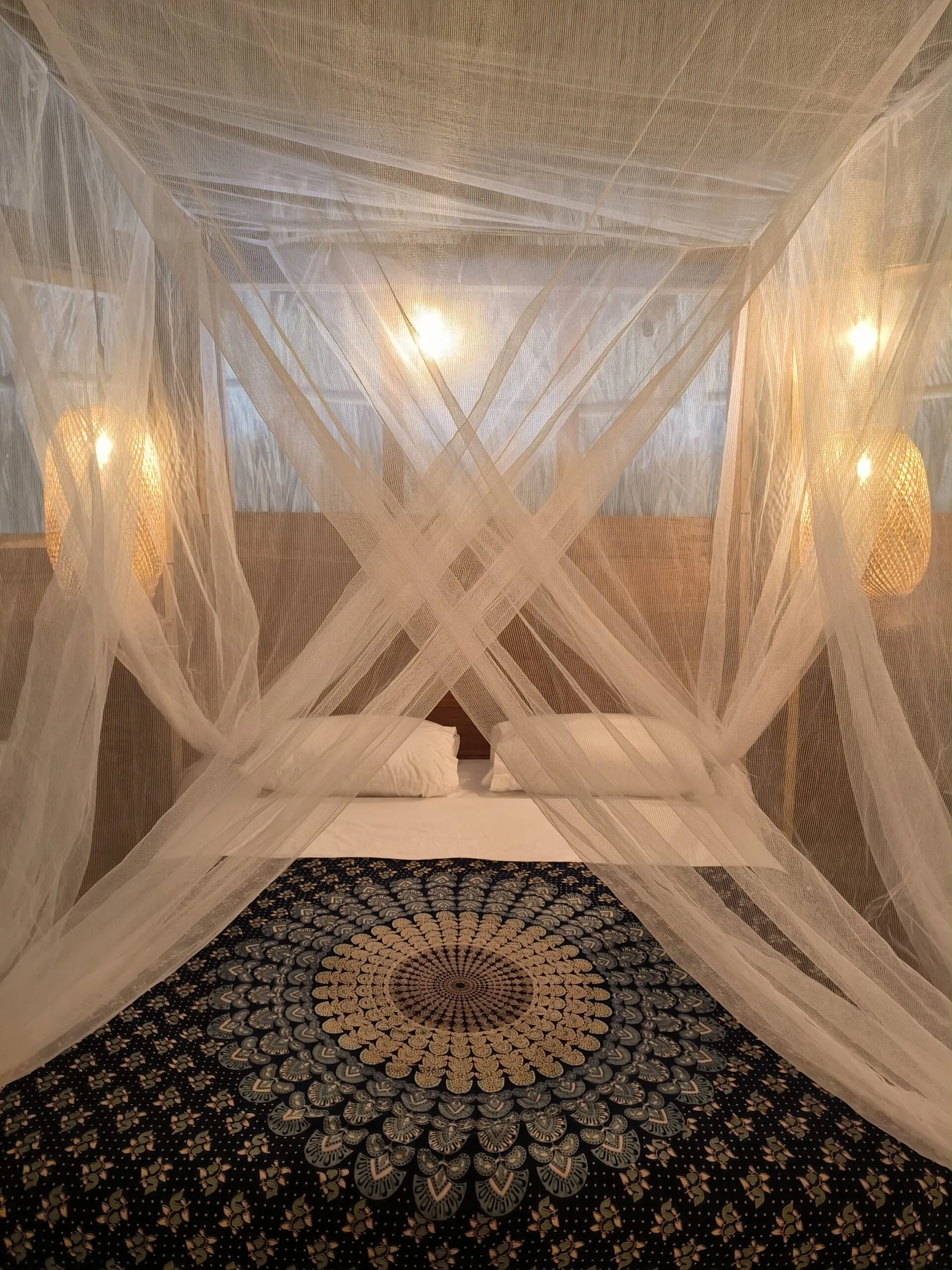 The canopy seen from above