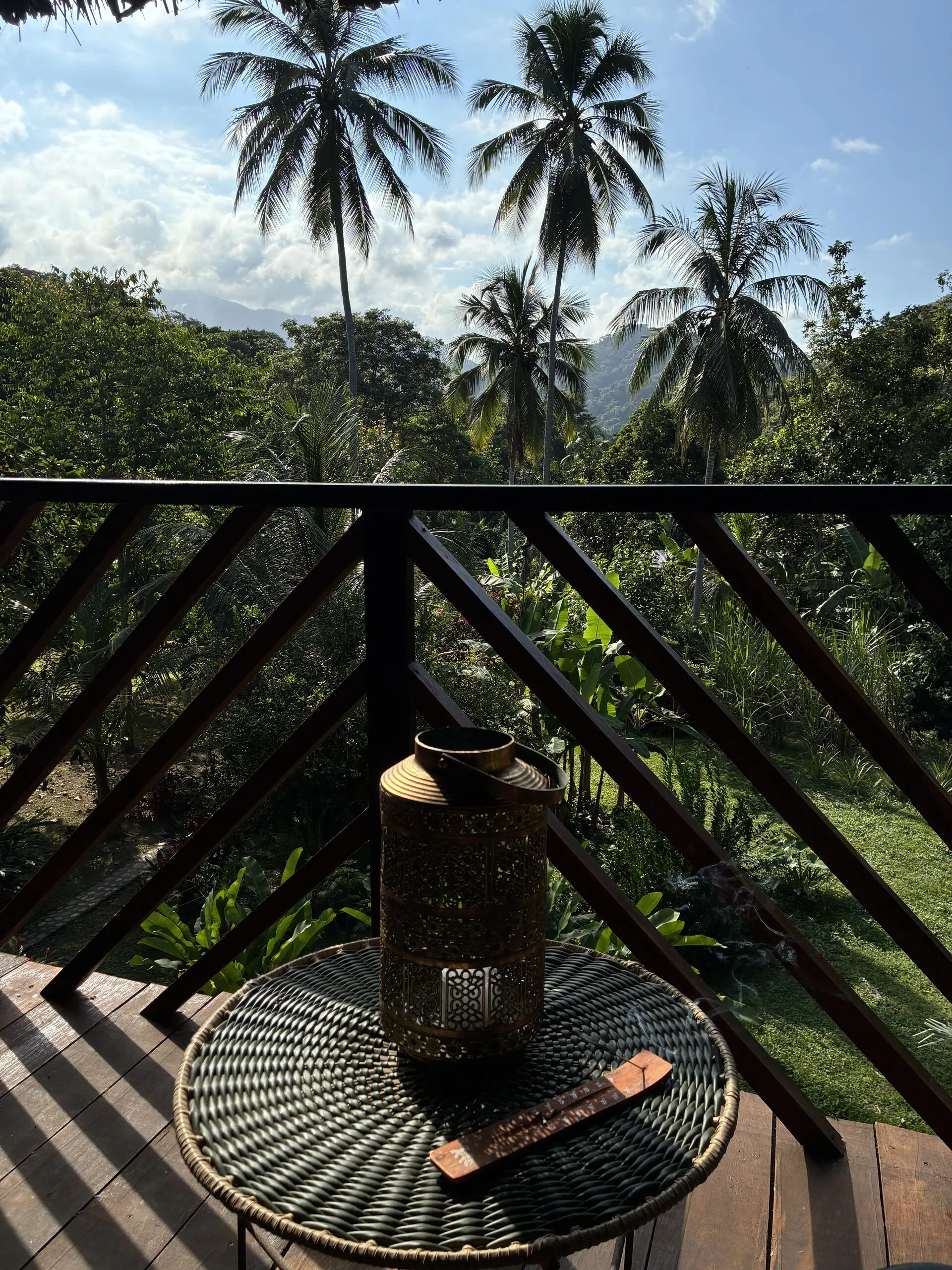Balcony with palms and the Sierra