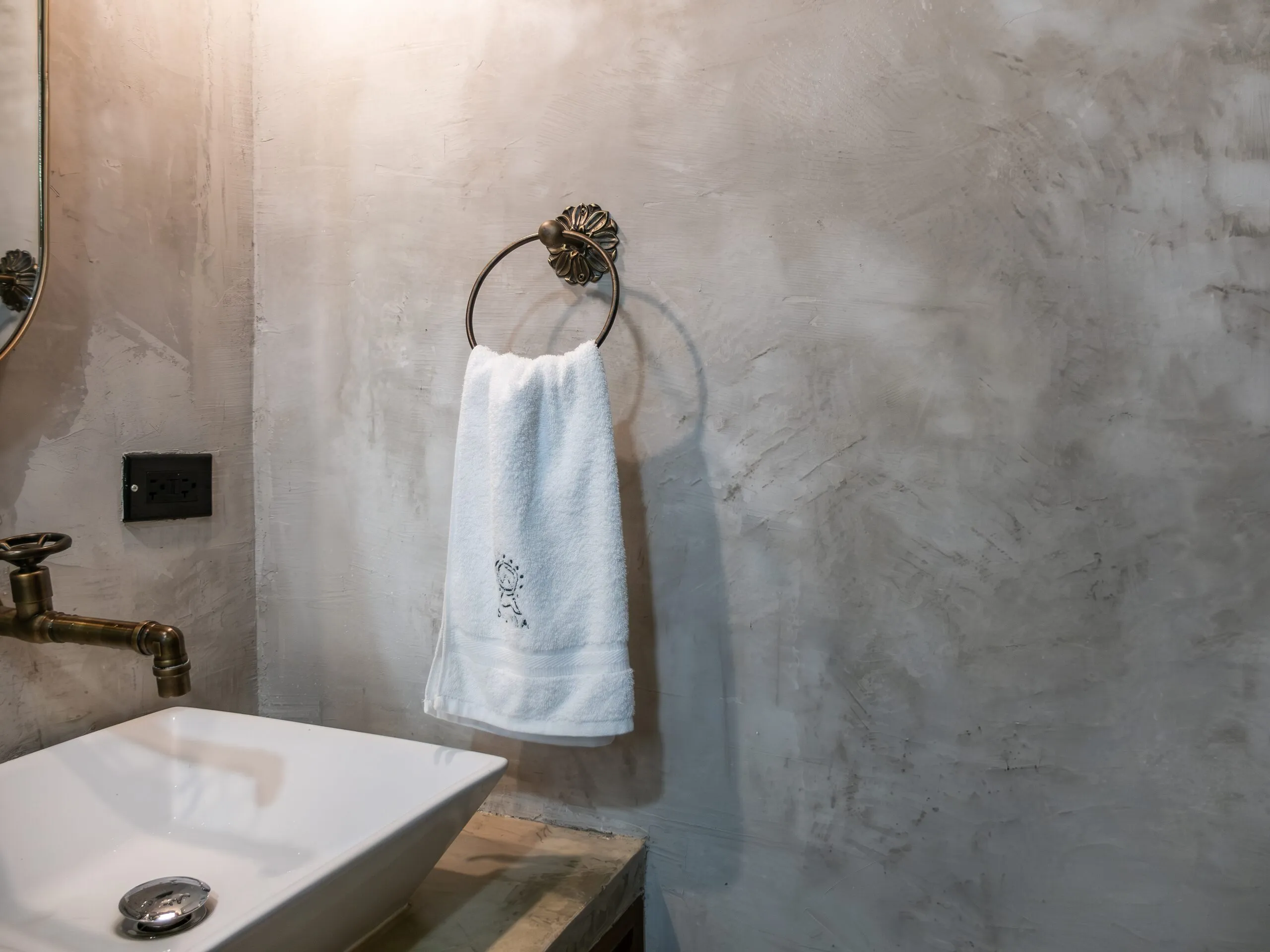 Sink and towel ring