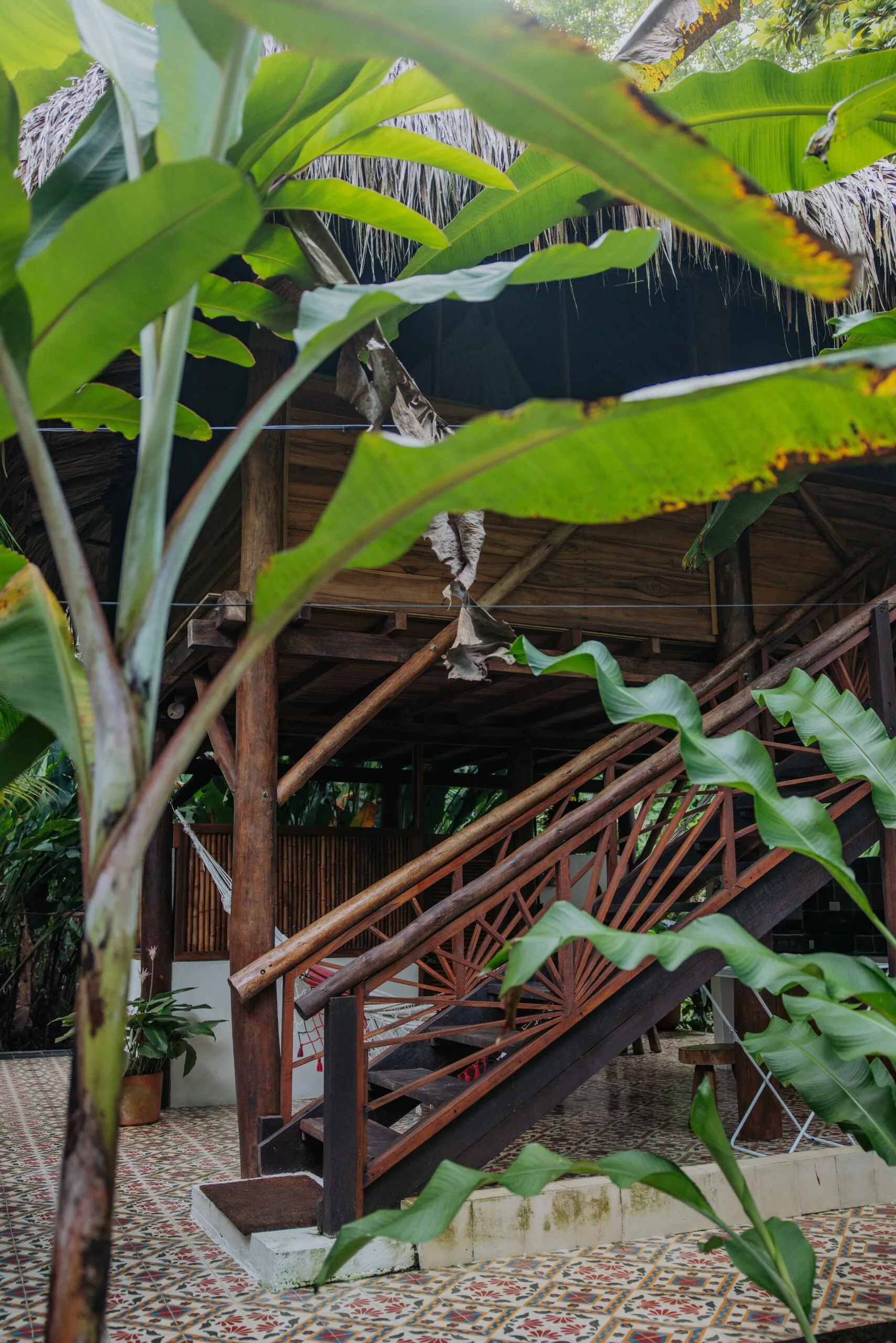 Wooden staircase among banana leaves