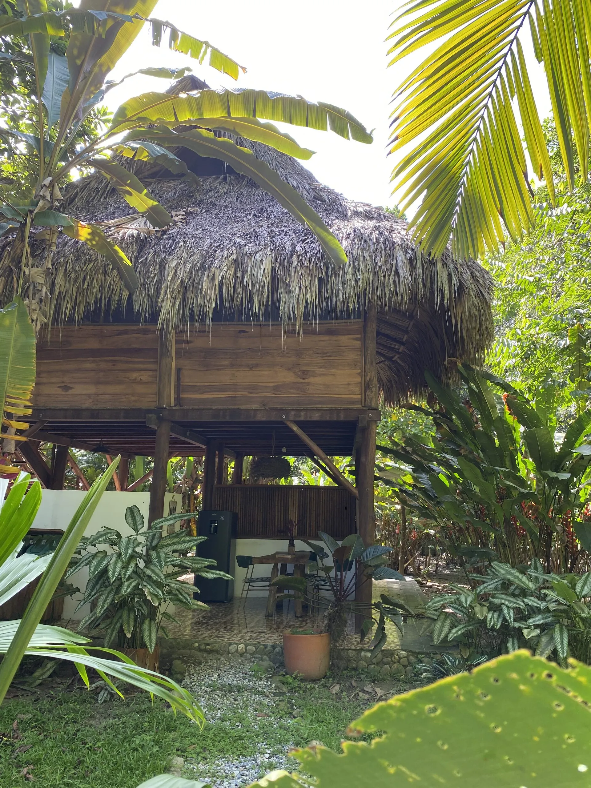 Raised palm-roofed cabin